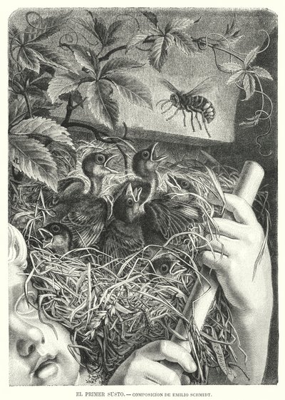 İlk Korku (lito) by Emil (after) Schmidt