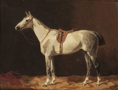 Ahırda bekleyen eyerli gri bir at by Emil Volkers