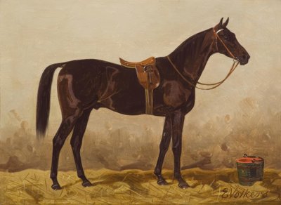E.Volkers, Gesattelter Rappe by Emil Volkers
