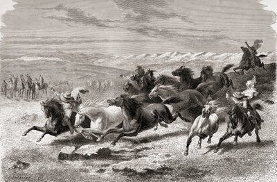 Vahşi atları toplayan Arjantin gauchoları, Charles Laplante (d.1903) tarafından kazınmış 