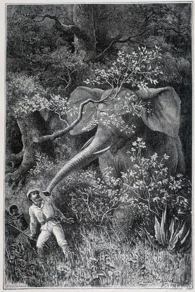 Livingstone, "Le Tour du Monde"da bir fil tarafından şaşırttı by Emile Antoine Bayard