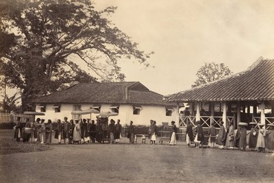 Düğün alayı, Cochinchina, 1866. by Emile Gsell