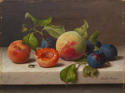 meyve natürmort by Emilie Preyer