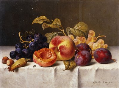 Dökümlü Bir Masada Üzüm, Şeftali, Erik ve Fındık by Emilie Preyer