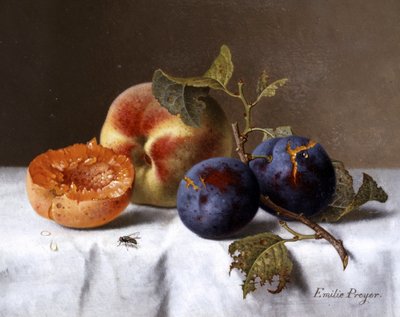Şeftali ve çürük erik natürmortu. Emilie Preyer (1849-1930) tarafından yapılmıştır. Özel koleksiyon. by Emilie Preyer