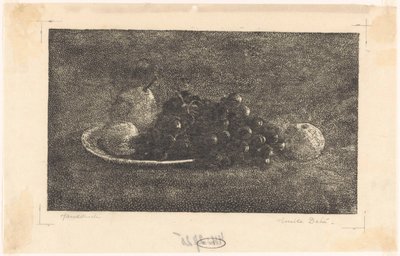 Üzüm ve diğer meyveler ile kase by Emilius Wilhelmus Dehé (signed by artist)