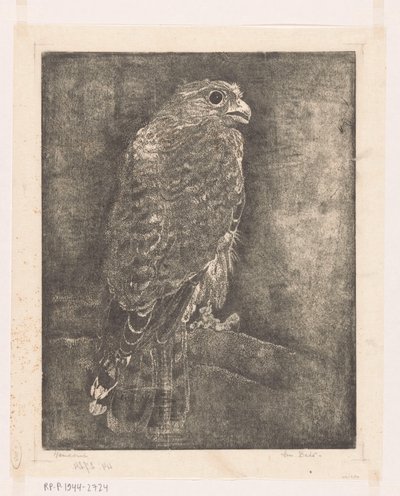 Bir dal üzerinde şahin by Emilius Wilhelmus Dehé (signed by artist)