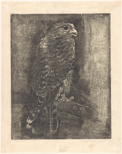 Bir dal üzerinde şahin by Emilius Wilhelmus Dehé