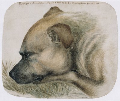 Kaleci - hayattan, 1838 (kağıt üzerine kalem ve wc) by Emily Bronte