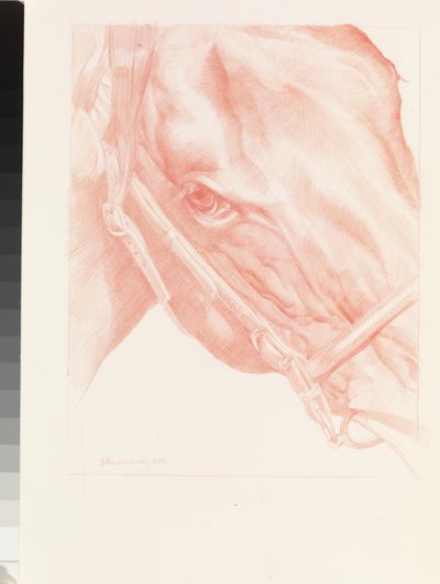 Portre Kafası, 2012 (kağıt üzerine kırmızı tebeşir) by Emma Kennaway