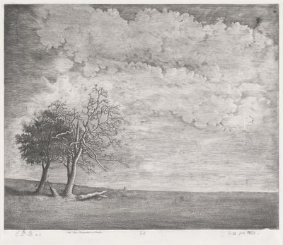 bir çalı by Emmanuel Phélippes Beaulieu