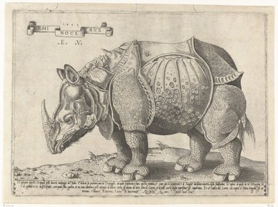 Neushoorn Gergedan (nesne üzerindeki başlık) by Enea Vico