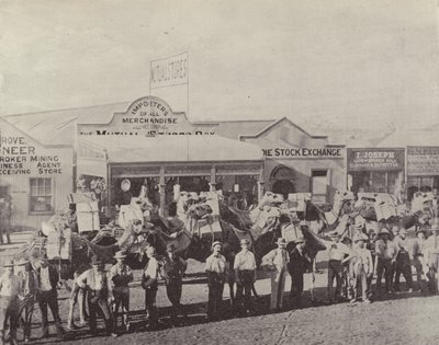 Bir Deve Treni, Coolgardie, Batı Avustralya by English Photographer