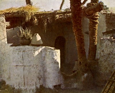 Bir Fellahin
