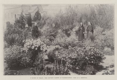 Bir Barış Cenneti, Bloemfontein