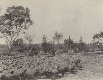 Güney Queensland