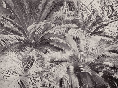 Kew