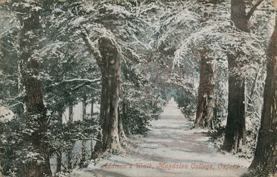 Addisons Yürüyüşü, Magdalen Koleji, Oxford. 1913 yılında gönderilen kartpostal. by English Photographer