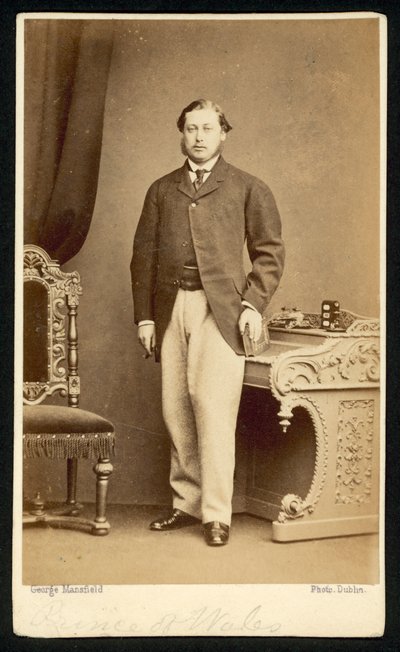 Albert Edward, Galler Prensi by English Photographer