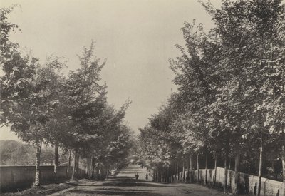 Aldeburgh, Westfields Caddesi (s/b fotoğraf) by English Photographer