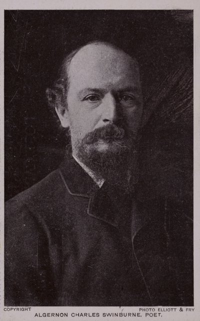 Algernon Charles Swinburne (1837-1909), İngiliz şair ve oyun yazarı by English Photographer
