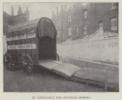 Engelli Atlar İçin Ambulans by English Photographer