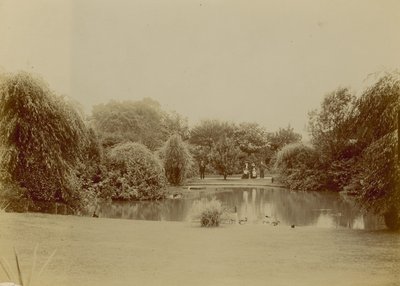 Brockwell Parkı, Londra by English Photographer