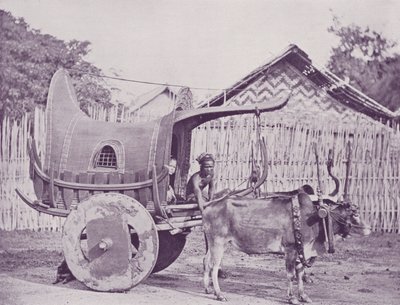 Birmanya Arabası ve Çifti by English Photographer
