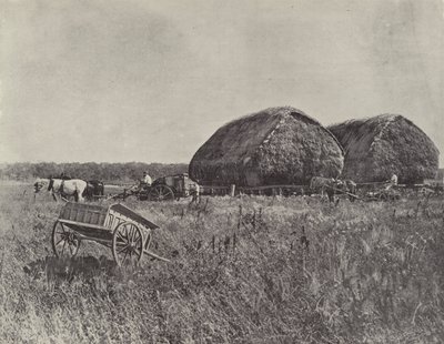 Canning Downs İstasyonu by English Photographer