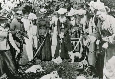 1900