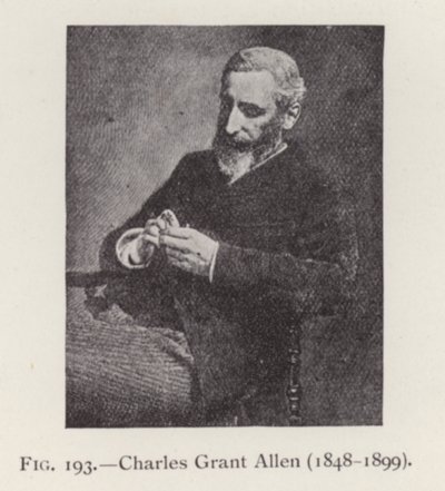Charles Grant Allen (1848-1899), portre (s/b fotoğraf) by English Photographer