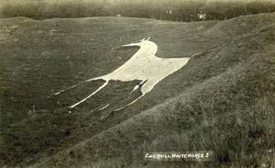 Cherhill Beyaz At (s/b fotoğraf) by English Photographer