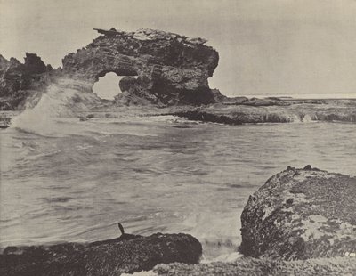 Sahil Manzarası, Bridgewater by English Photographer