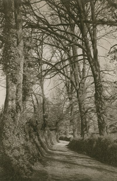 Cockington Lane, Devonshire, Torquay yakınında by English Photographer