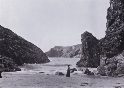 Cornwall: Kynance Koyu, Kertenkele by English Photographer