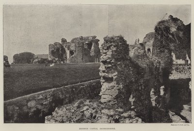 Denbigh Kalesi, Denbighshire by English Photographer