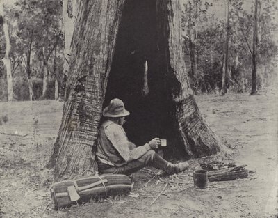 Şansına bağlı by English Photographer