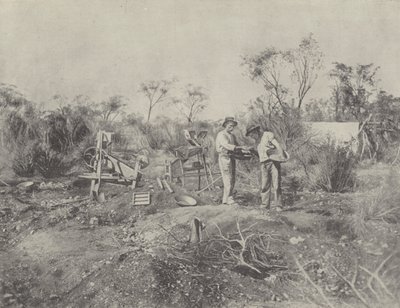 Coolgardie
