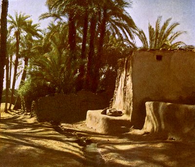 Mısır -Karnak by English Photographer