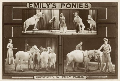 Emily Paulo ve performans gösteren eğitimli midillileri (s/b fotoğraf) by English Photographer