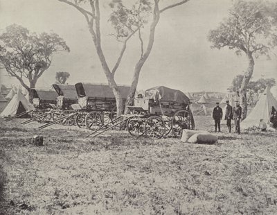 Mühendisler Kampı, Langwarrin, Victoria by English Photographer