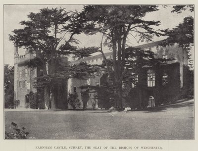 Farnham Kalesi, Surrey, Winchester Piskoposlarının Yeri by English Photographer