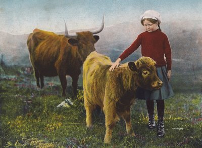 Bir buzağıyı okşayan kız (renkli fotoğraf) by English Photographer