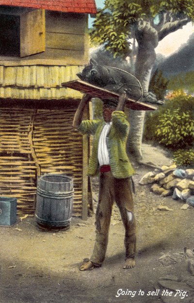 Domuzu satacak, Jamaika (renkli fotoğraf) by English Photographer