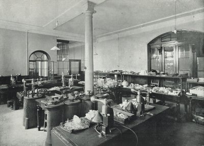 Kuyumcular Salonu, Tahlil Departmanı (s/b fotoğraf) by English Photographer