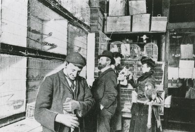 Büyük Portland Caddesi evcil hayvan dükkanı by English Photographer