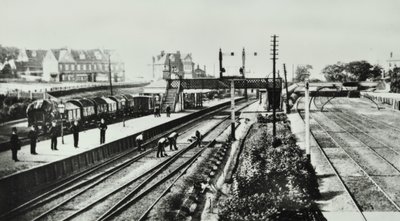 Grove Park İstasyonu: dış ve platformlar, 1888 by English Photographer
