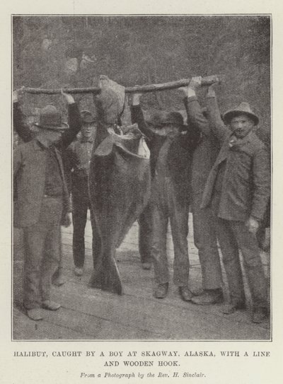 Halibut, Skagway, Alaska