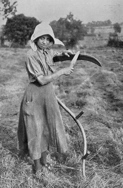 Hasat - Leicester Kadın Gönüllü Rezervinin bir çiftçiye yardım eden üyesi, Savaş Ofisi fotoğrafları, 1916 by English Photographer