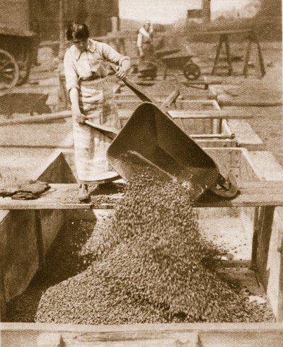 Yurtdışındaki kahramanlar için evde yardımcı arkadaşlar, 1914-19 bw fotoğrafı) by English Photographer